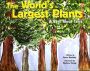 The World's Largest Plants: A Book About Trees
