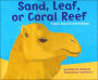 Sand, Leaf, or Coral Reef: A Book About Animal Habitats