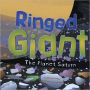 Ringed Giant: The Planet Saturn