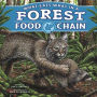 What Eats What in a Forest Food Chain