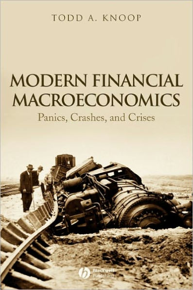 Modern Financial Macroeconomics: Panics, Crashes, and Crises / Edition 1