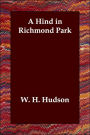 A Hind in Richmond Park