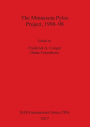The Minnesota Pylos Project, 1990-98