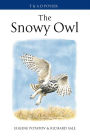 The Snowy Owl