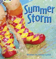Phonics Bug Summer Storm Phase 3