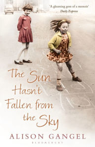 Title: The Sun Hasn't Fallen From the Sky, Author: Alison Gangel