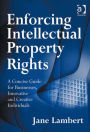 Enforcing Intellectual Property Rights: A Concise Guide for Businesses, Innovative and Creative Individuals