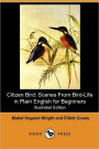 Citizen Bird