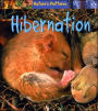 Hibernation