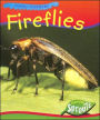 Fireflies