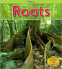 Roots