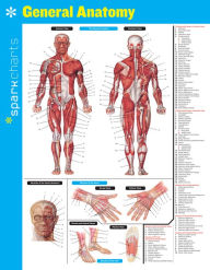 Title: General Anatomy SparkCharts