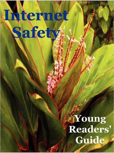 Internet Safety Young Readers' Guide