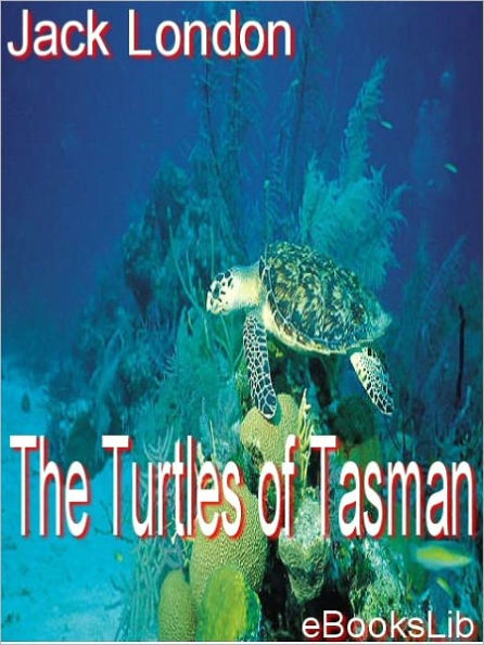 Turtles of Tasman