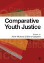 Comparative Youth Justice / Edition 1