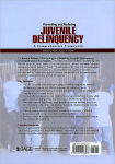 Alternative view 2 of Preventing and Reducing Juvenile Delinquency: A Comprehensive Framework / Edition 2