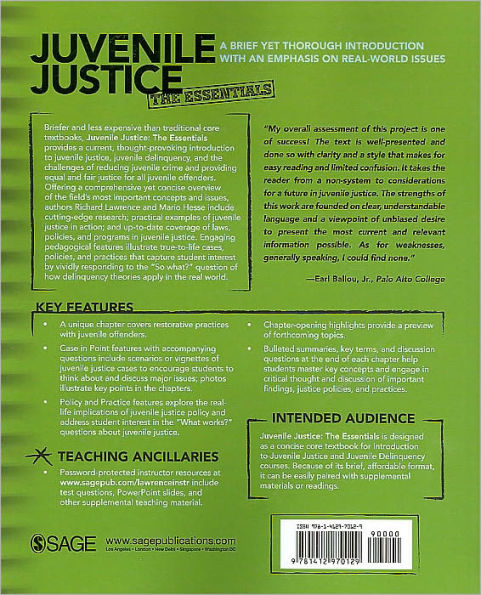 Juvenile Justice: The Essentials / Edition 1