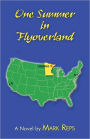 One Summer In Flyoverland