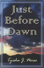 Just Before Dawn