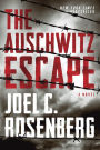 The Auschwitz Escape