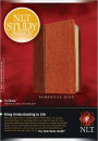 NLT Study Bible, Personal Size, TuTone (LeatherLike, Brown/Tan)
