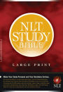 NLT Study Bible Large Print (Red Letter, Hardcover)