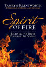 Spirit of Fire (eBook): Receiving His Power, Pursuing His Purpose