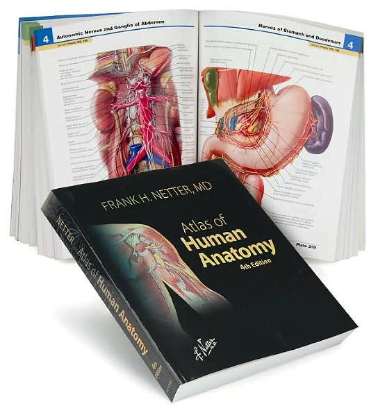 Atlas of Human Anatomy: With Netteranatomy.com / Edition 4 by Frank H