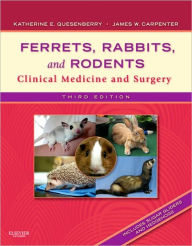 Ferrets, Rabbits, and Rodents: Clinical Medicine and Surgery / Edition 3