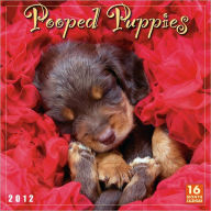 2012 Pooped Puppies Wall Calendar
