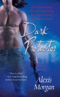 Dark Protector (Paladin Series #1)