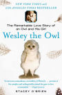 Wesley the Owl: The Remarkable Love Story of an Owl and His Girl