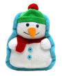 Snowman Skates! with Plush