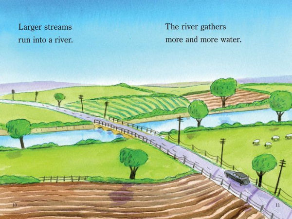Flood!: Ready-to-Read Level 1