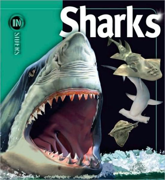 Sharks (Insiders Series)