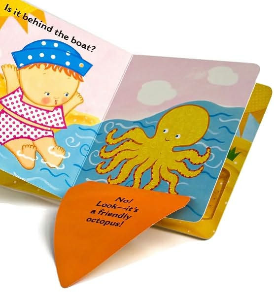 Where Is Baby's Beach Ball?: A Lift-the-Flap Book