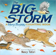Title: The Big Storm: A Very Soggy Counting Book, Author: Nancy Tafuri