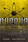 Alternative view 1 of Divine Madness: Mission 5 (Cherub Serie)