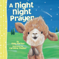 Title: A Night Night Prayer, Author: Amy Parker