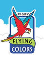 Rigby Flying Colors: Individual Student Edition Gold City Transportation