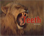 Rigby Literacy by Design: Leveled Reader Grade 2 Teeth