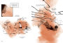 Alternative view 7 of The Best We Could Do: An Illustrated Memoir