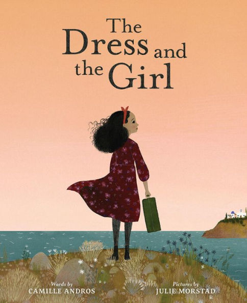 The Dress and the Girl: A Picture Book