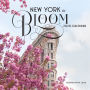 2020 New York in Bloom Wall Calendar