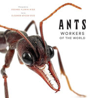 Title: Ants: Workers of the World, Author: Eleanor Spicer Rice