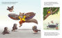 Alternative view 2 of Newton and Curie Take Flight!: A Picture Book