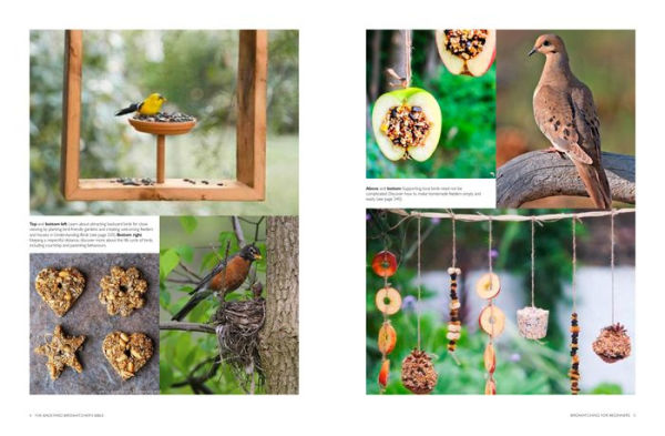 The Backyard Birdwatcher's Bible: Birds, Behaviors, Habitats, Identification, Art & Other Home Crafts