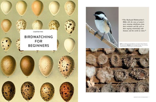 The Backyard Birdwatcher's Bible: Birds, Behaviors, Habitats, Identification, Art & Other Home Crafts