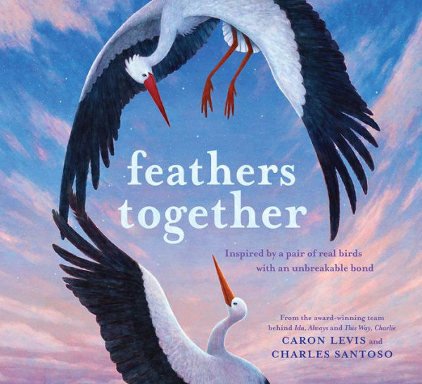 Feathers Together: A Picture Book