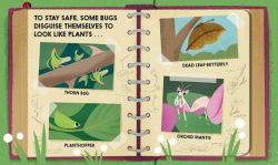 Alternative view 3 of Bugblock (An Abrams Block Book)